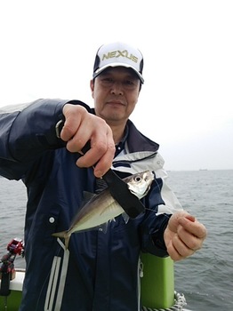 DSC_0518.JPG