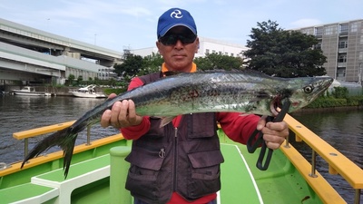 IMG_20170821_152937.jpg