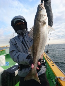 DSC_0918.JPG