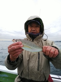 DSC_0317.JPG