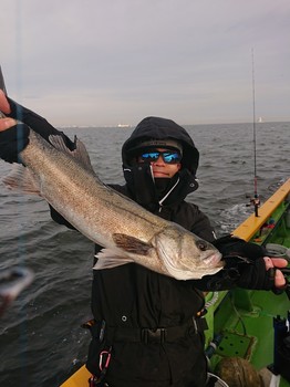 DSC_1827.JPG