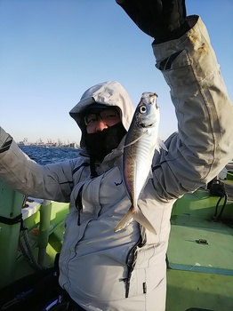 DSC_0424.JPG