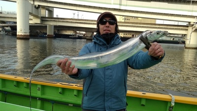 IMG_20190213_154334.jpg