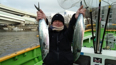 IMG_20190213_154313.jpg