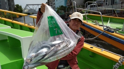 IMG_20170901_124743.jpg