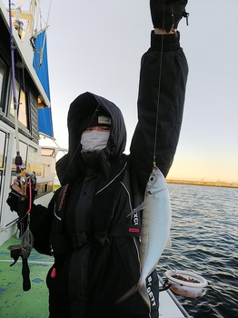 DSC_0377.JPG