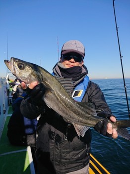 DSC_1662.JPG