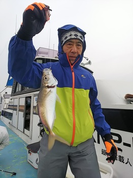 DSC_0429.JPG