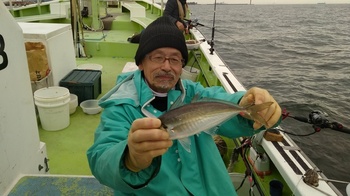 IMG_20190301_135519.jpg