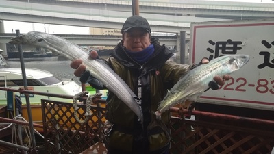 IMG_20190303_152734.jpg