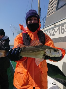 DSC_2183.JPG