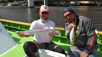 IMG_20190617_150326.jpg